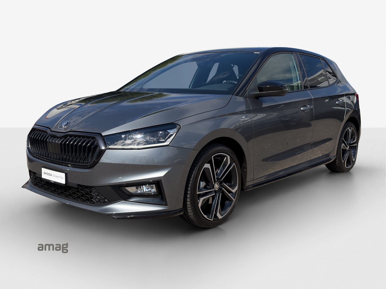 SKODA Fabia 1.0 TSI Monte Carlo DSG-image-0
