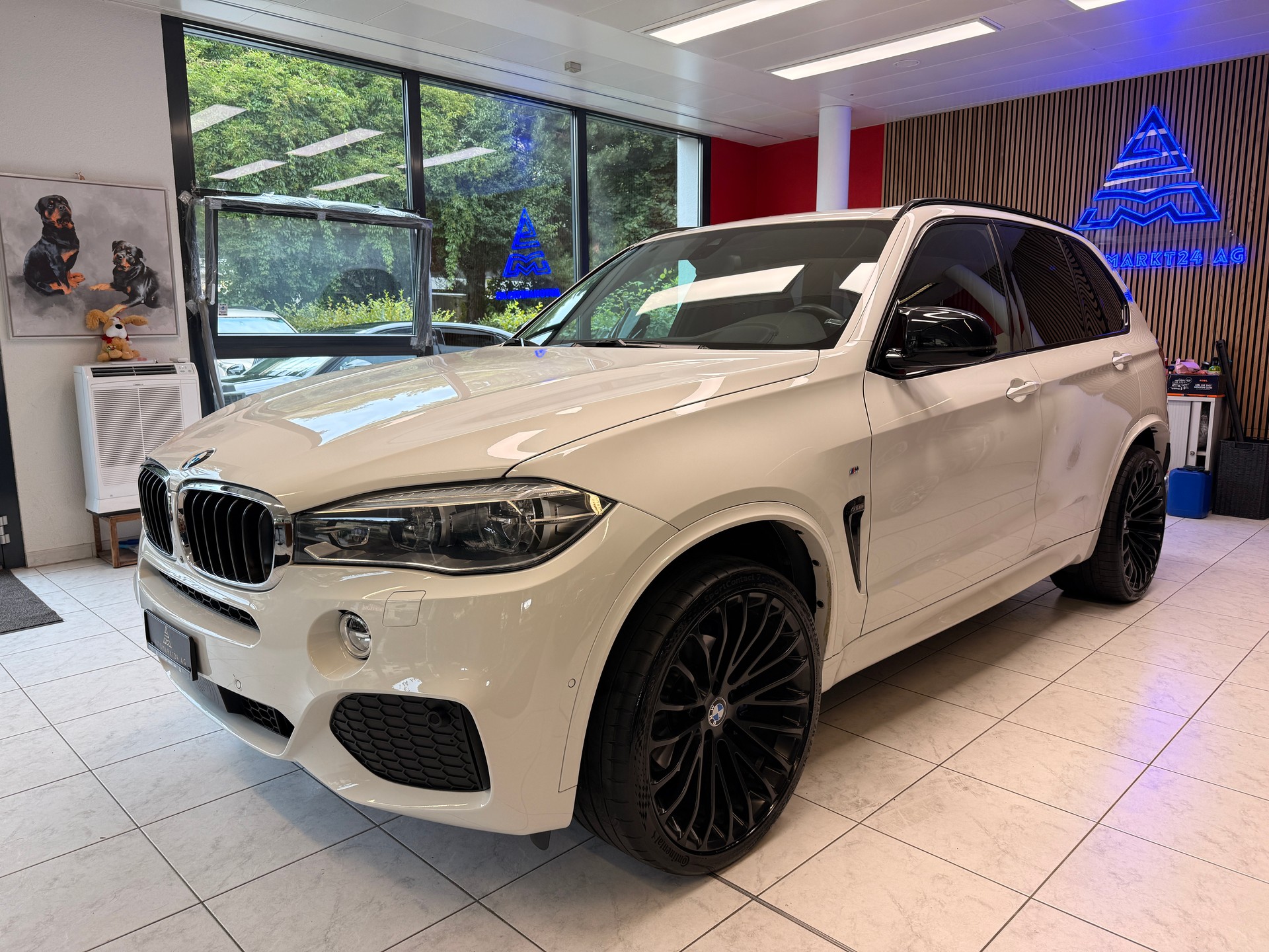 BMW X5 30d xDrive SAG-image-2