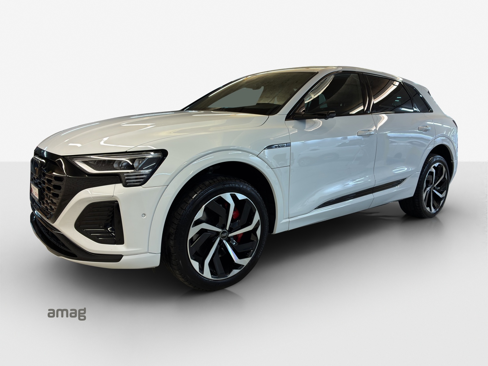 AUDI Q8 55 e-tron S line quattro-image-0