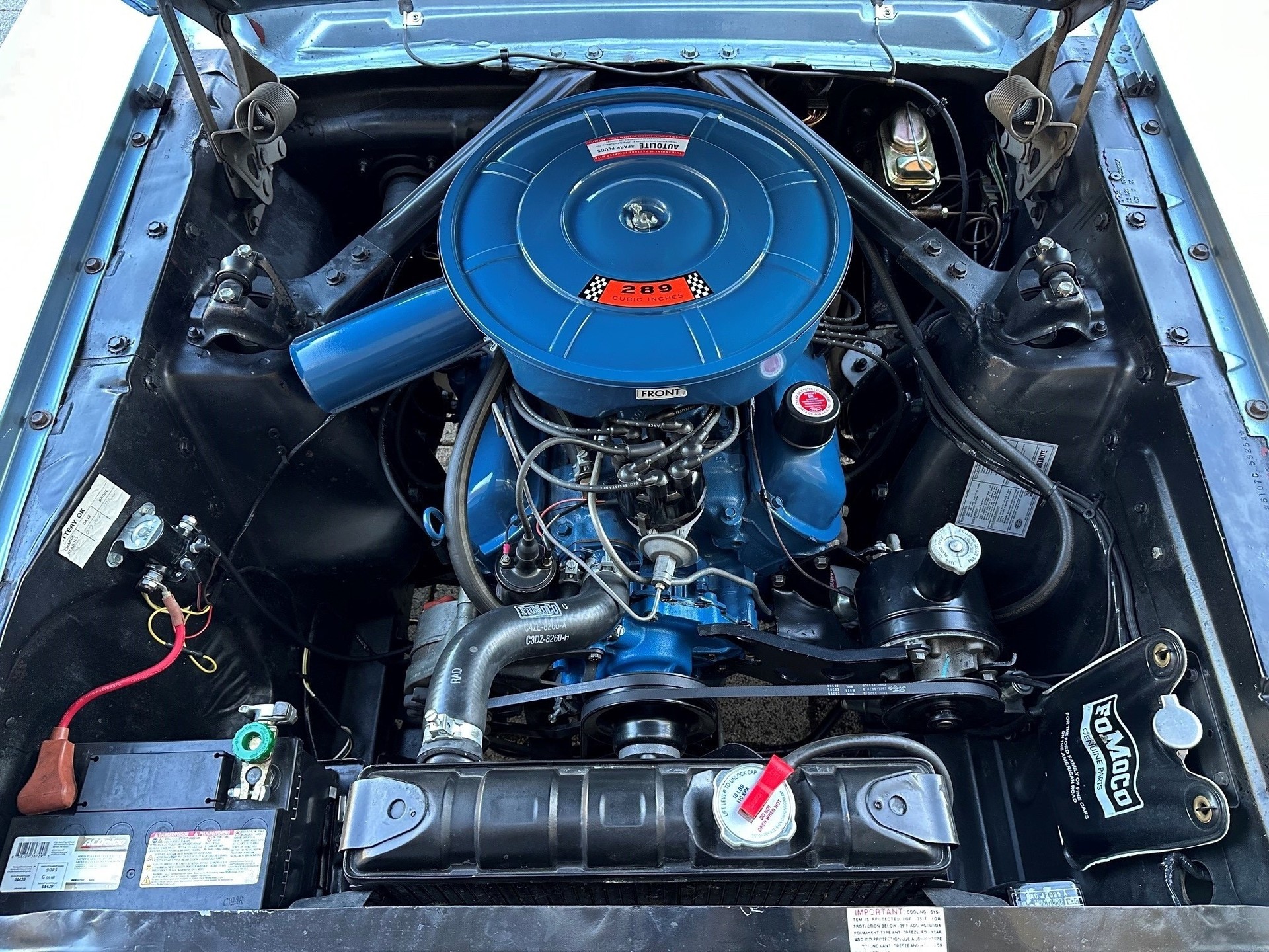 FORD MUSTANG-image-6