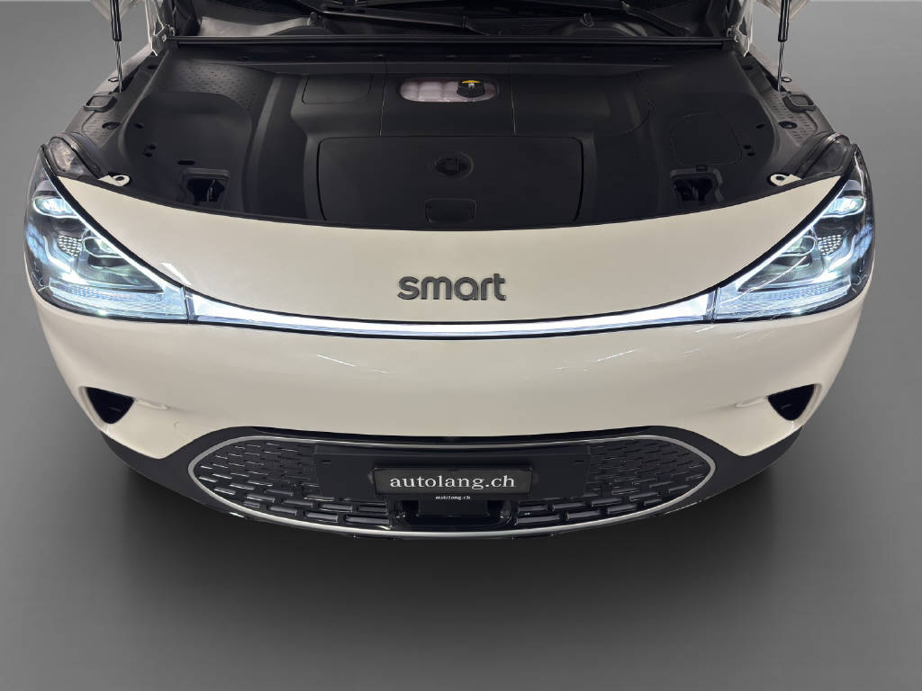 SMART #1 Premium 66 kWh, 22kW-image-8