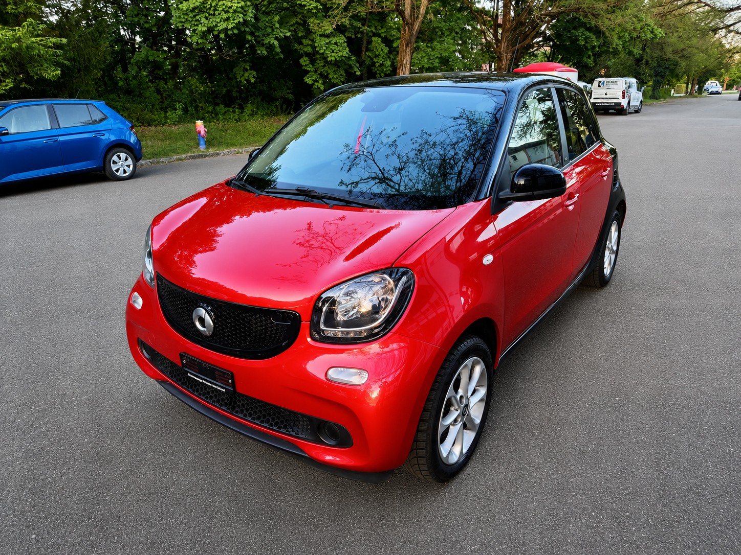 SMART 1.0 71 Passion-image-1
