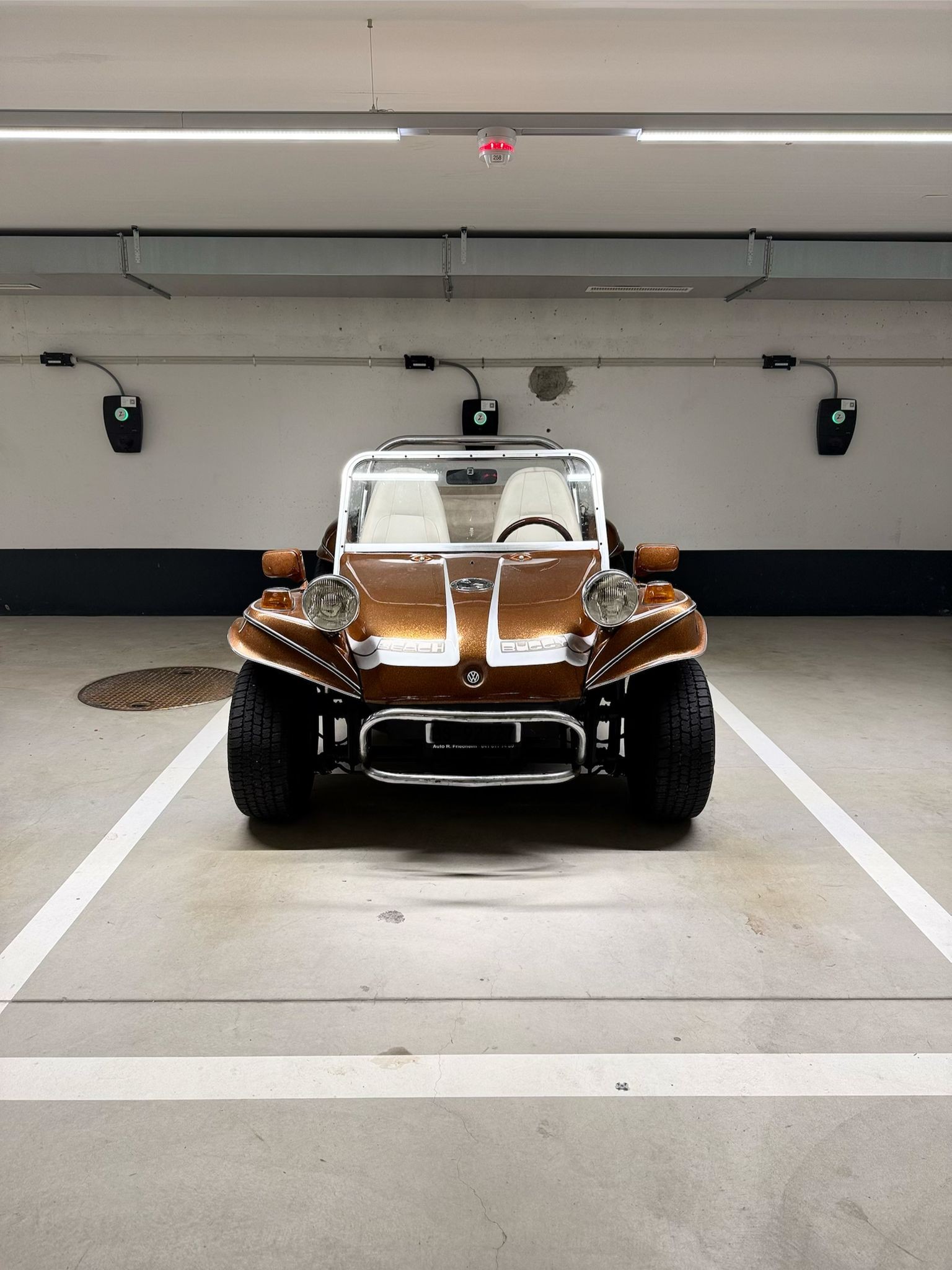 BUGGY ALBA