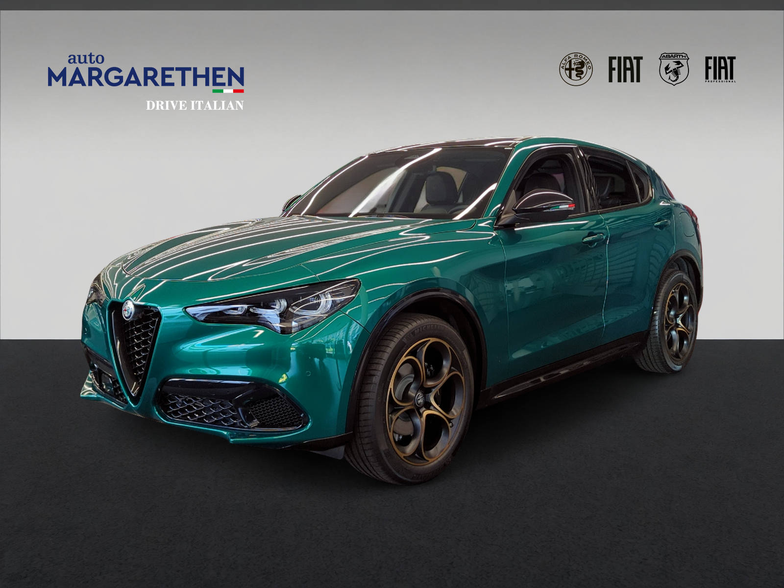 ALFA ROMEO Stelvio 2.0 Intensa Q4 AT8-image-1