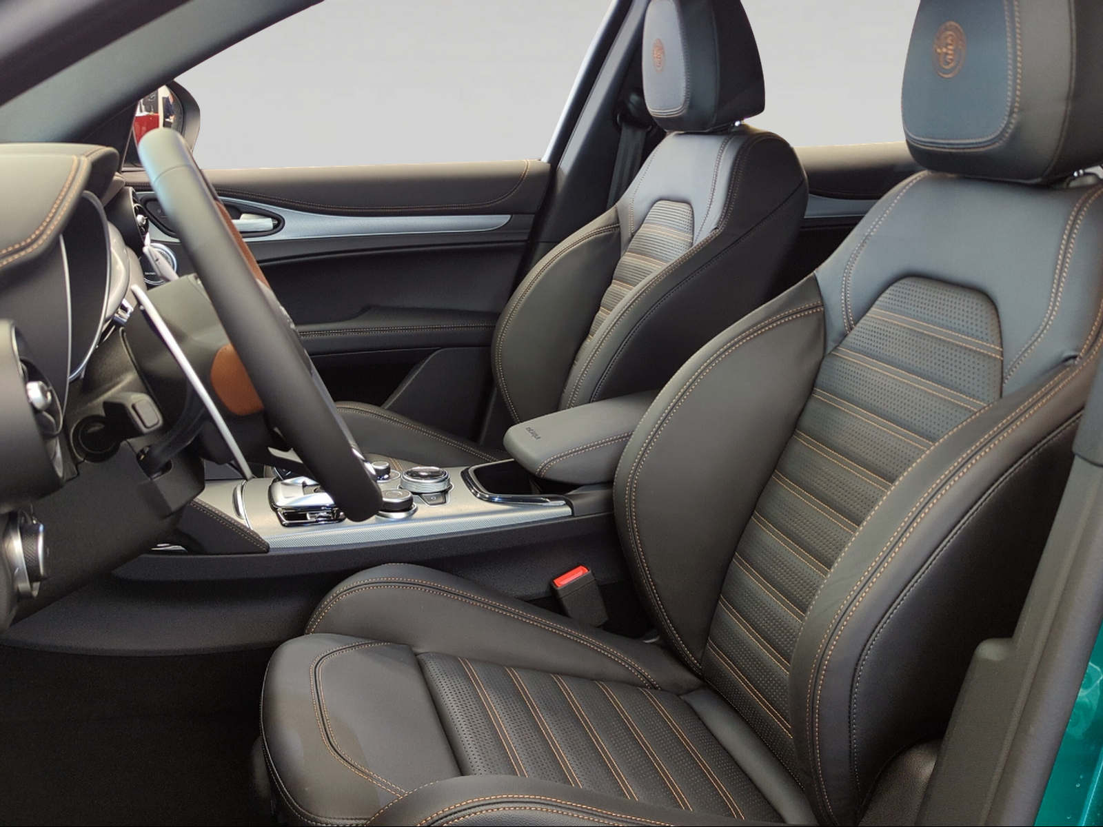 ALFA ROMEO Stelvio 2.0 Intensa Q4 AT8-image-6