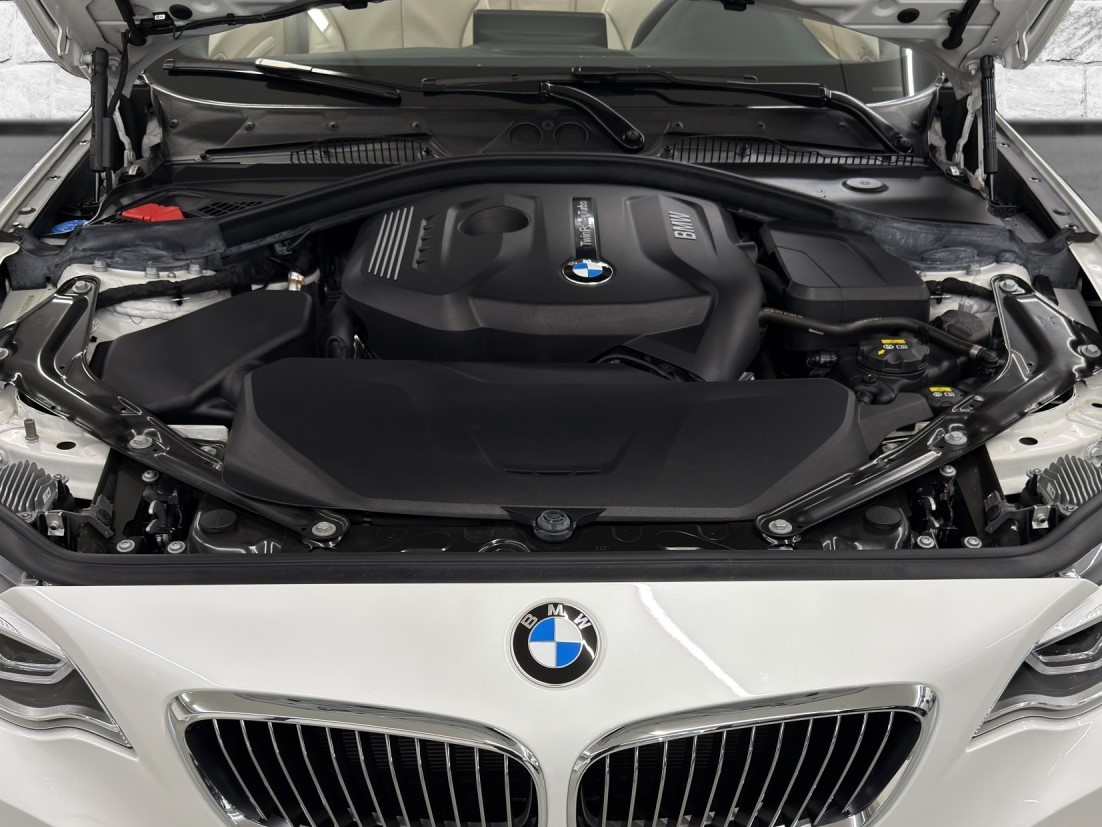 BMW 220i Luxury Line-image-24