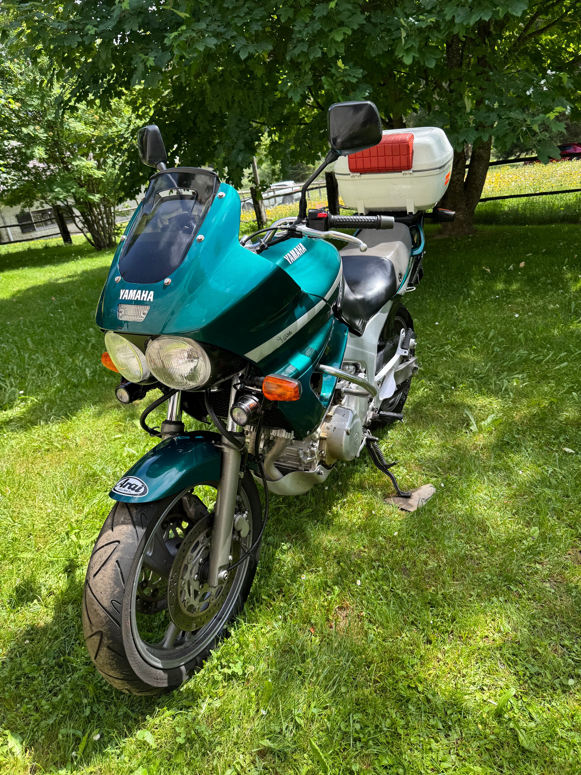 YAMAHA TDM 850-image-3