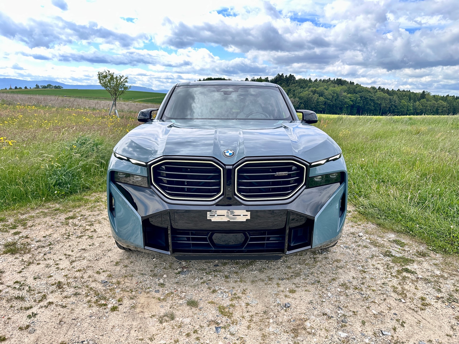BMW XM xDrive PHEV Steptronic-image-1
