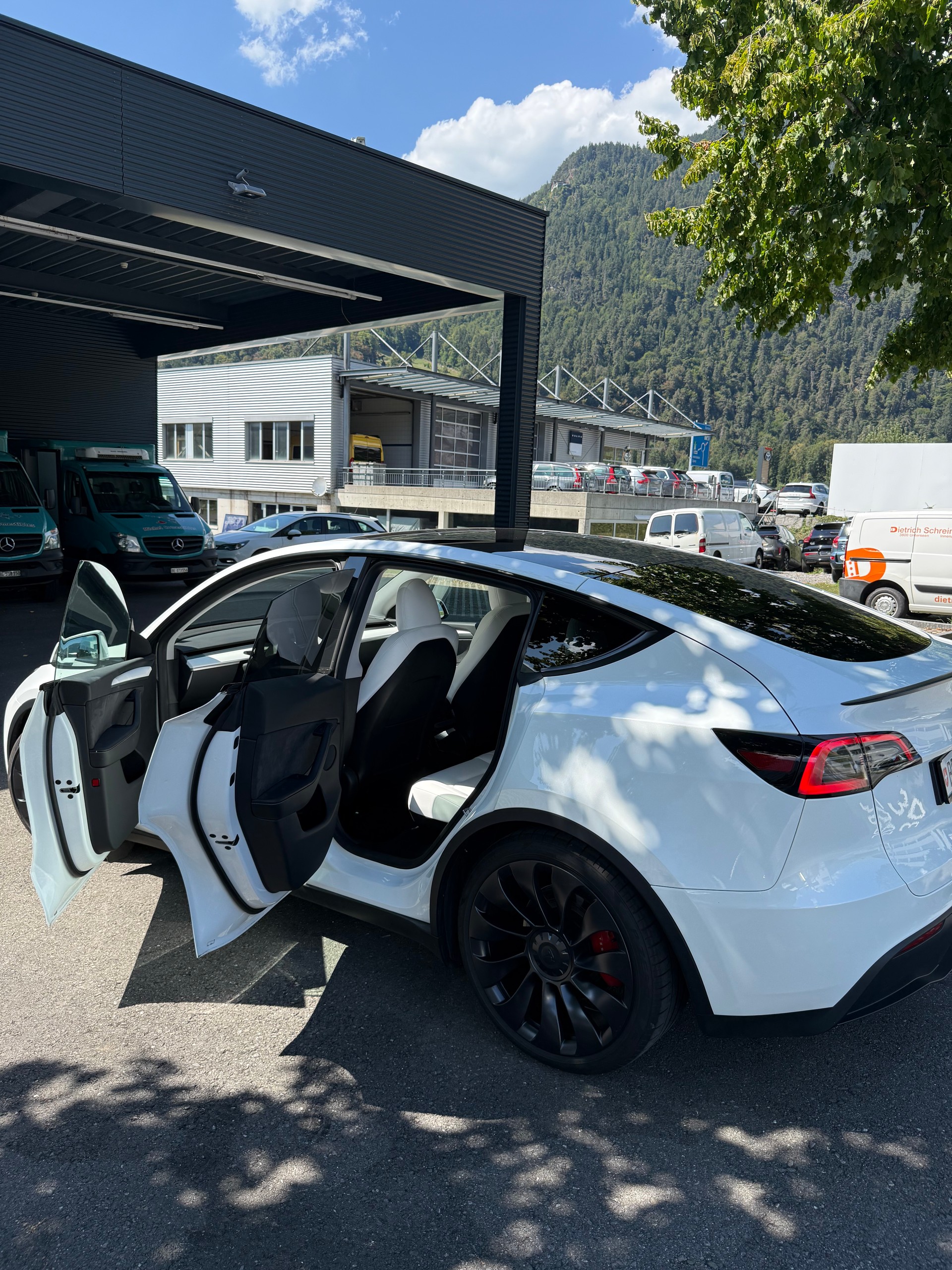 TESLA Performance D-image-9