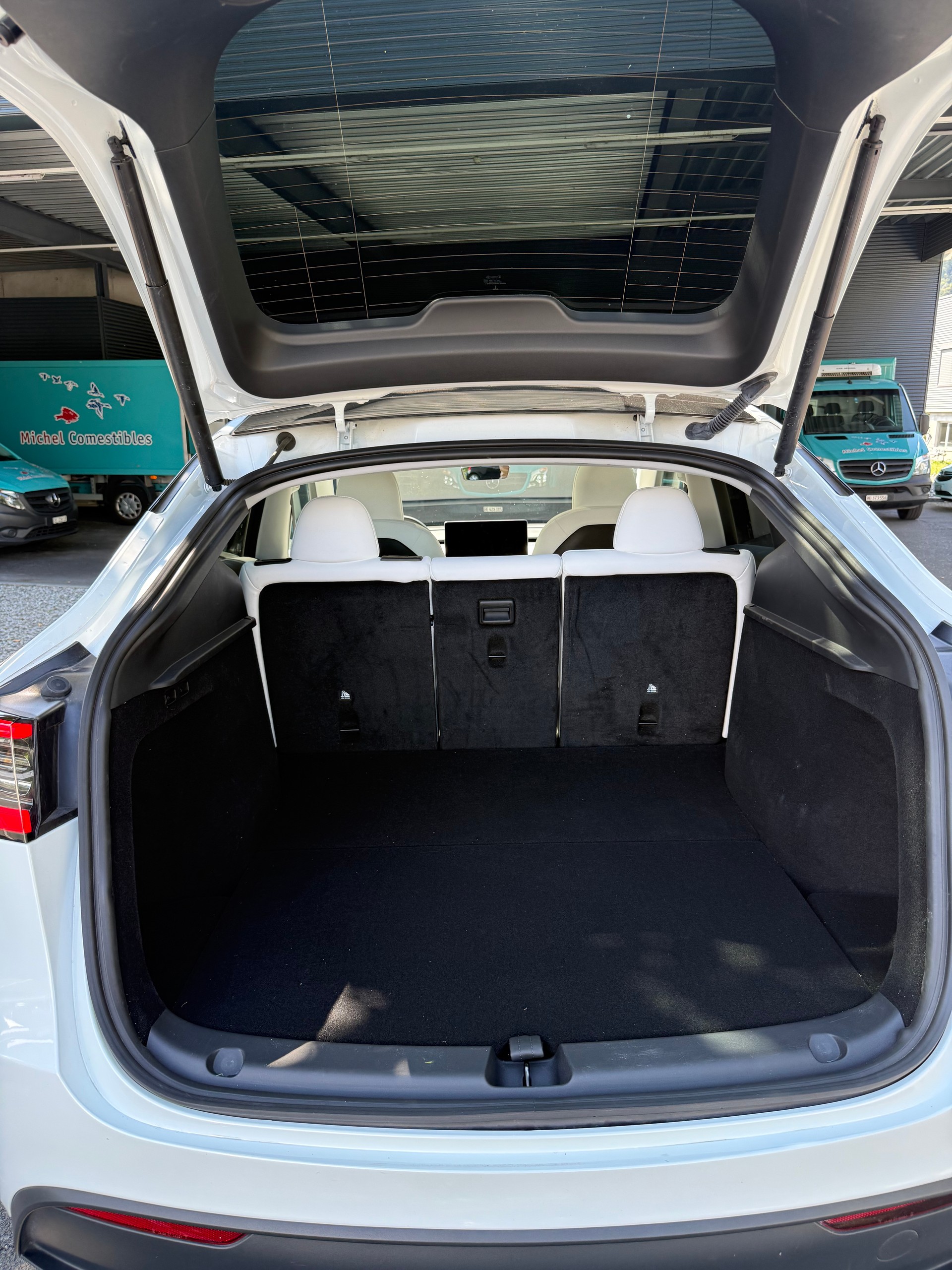 TESLA Performance D-image-1