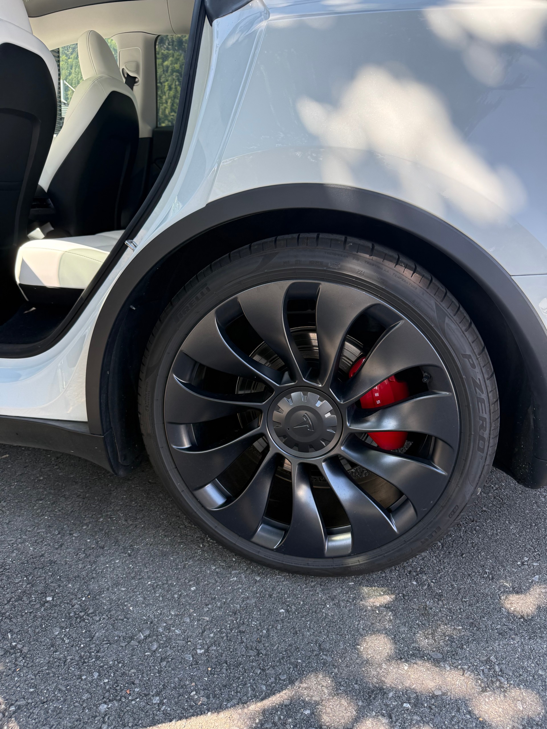TESLA Performance D-image-5