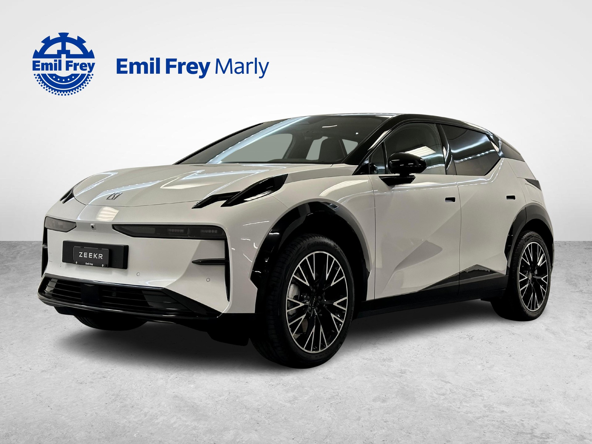 ZEEKR X Privilege AWD-image-0