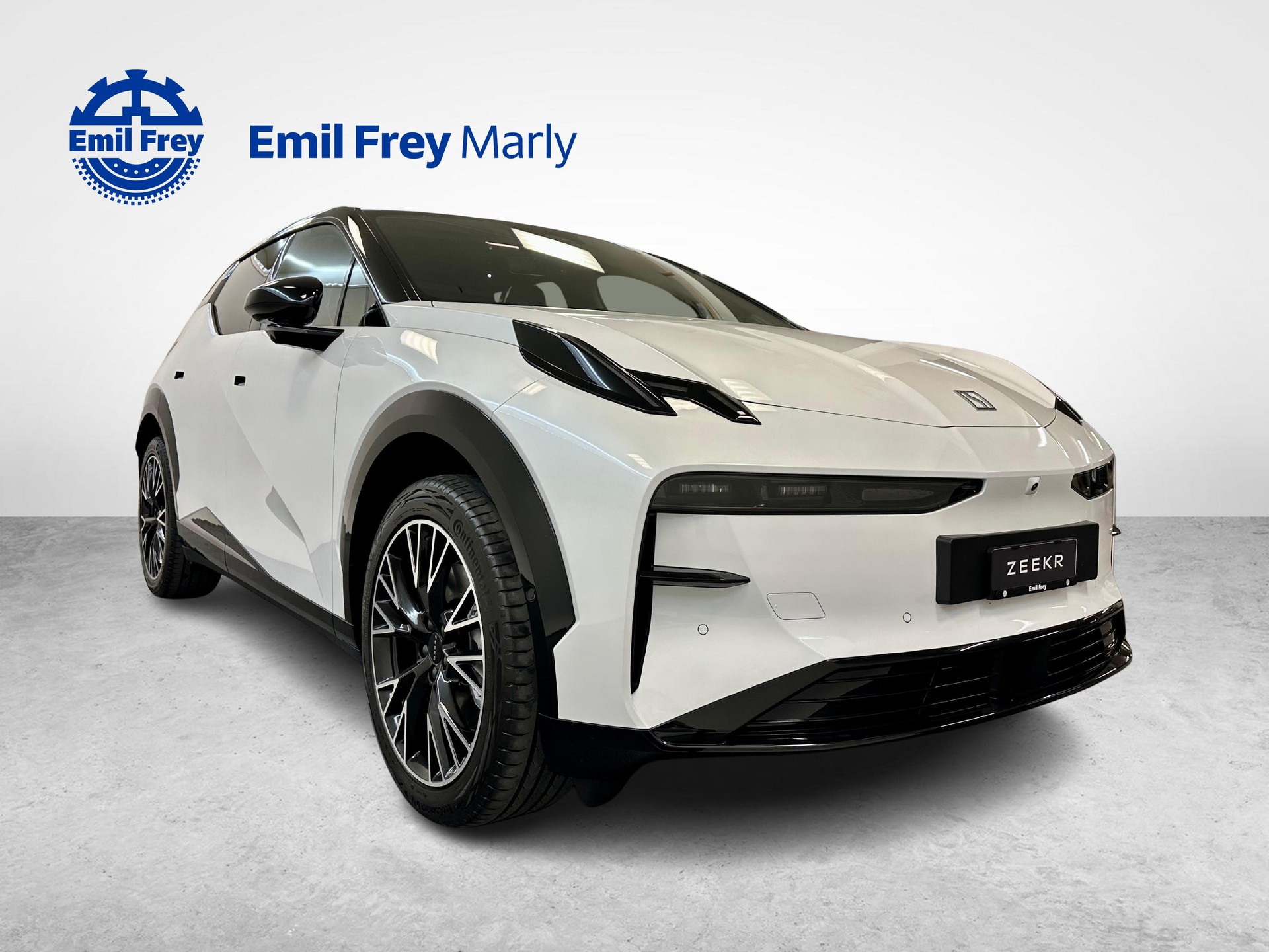 ZEEKR X Privilege AWD-image-1
