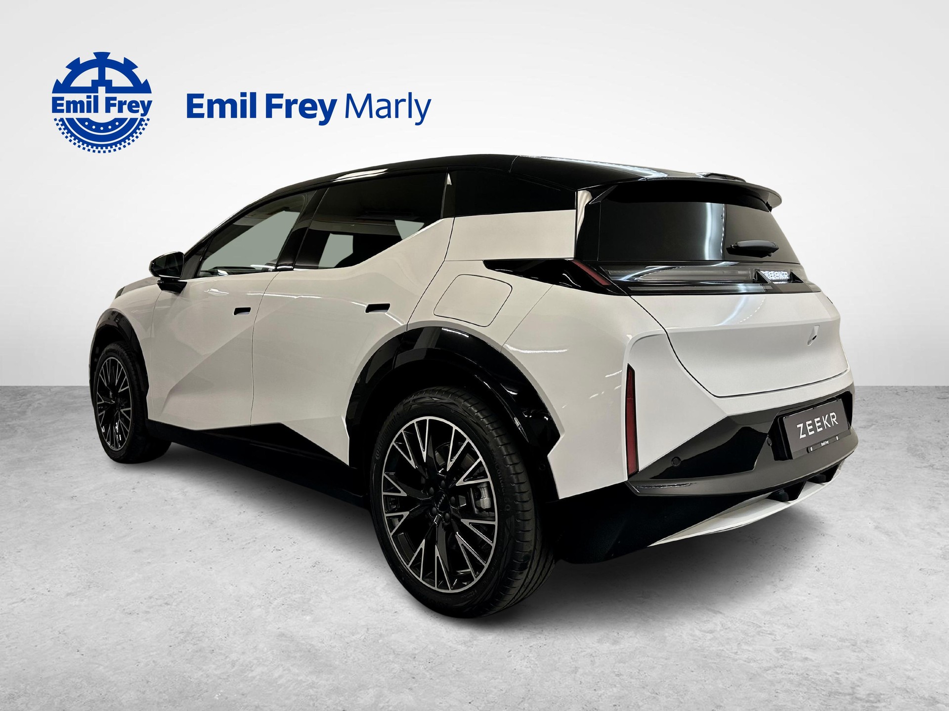 ZEEKR X Privilege AWD-image-2