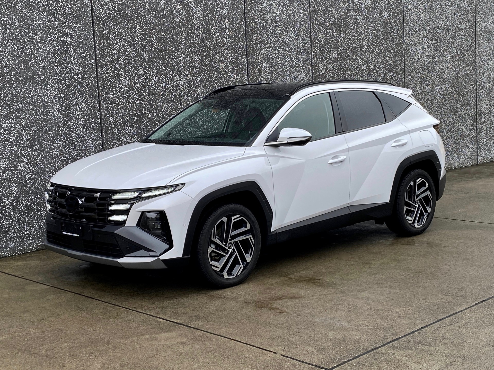 HYUNDAI Tucson 1.6*TGDI*PlugInHybrid*Swiss*Vertex*4WD*