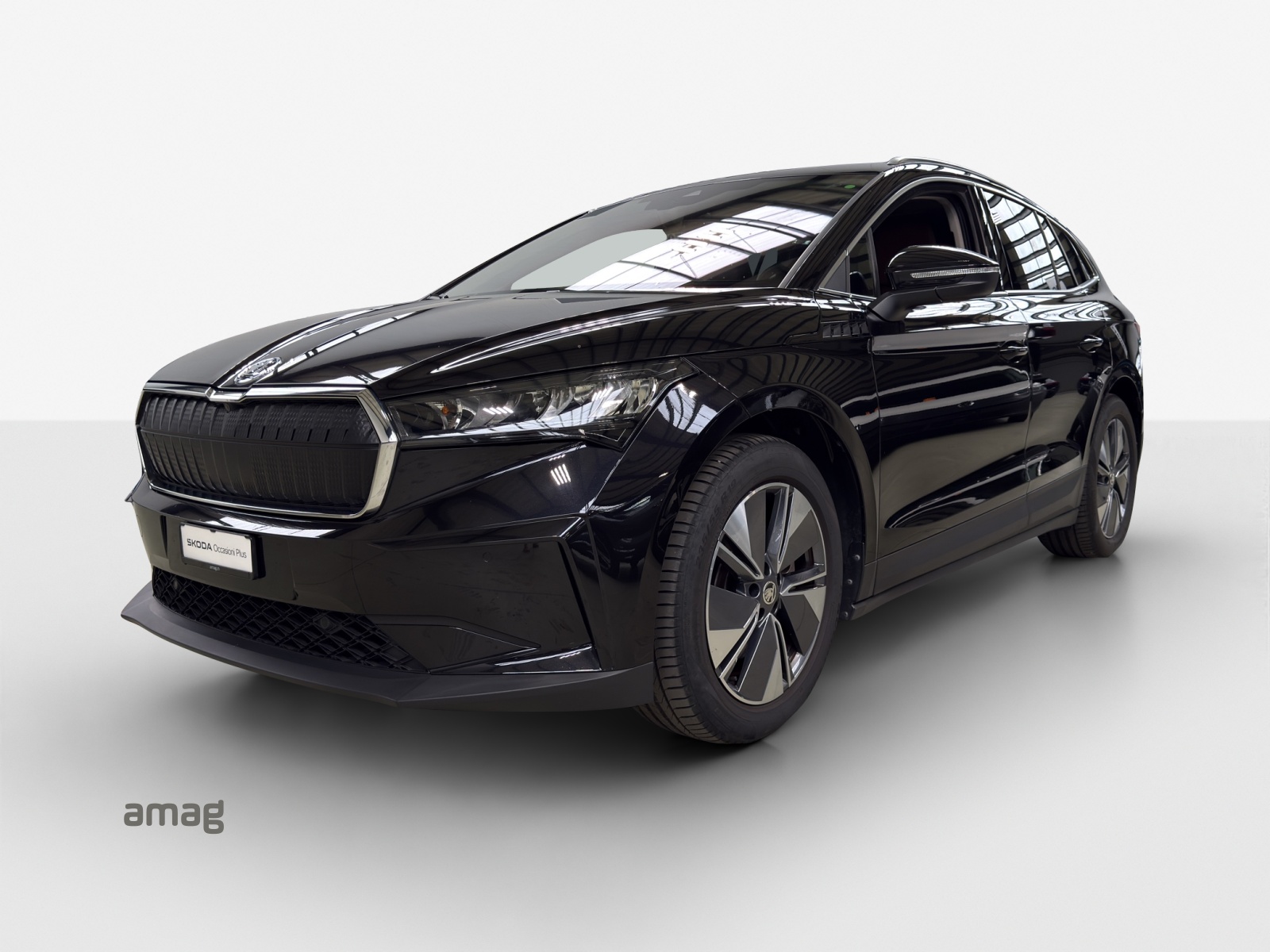 SKODA Enyaq iV 80x-image-0