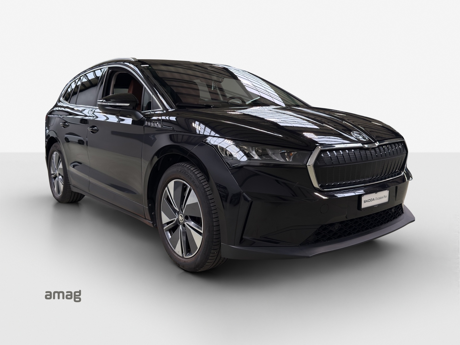 SKODA Enyaq iV 80x-image-6