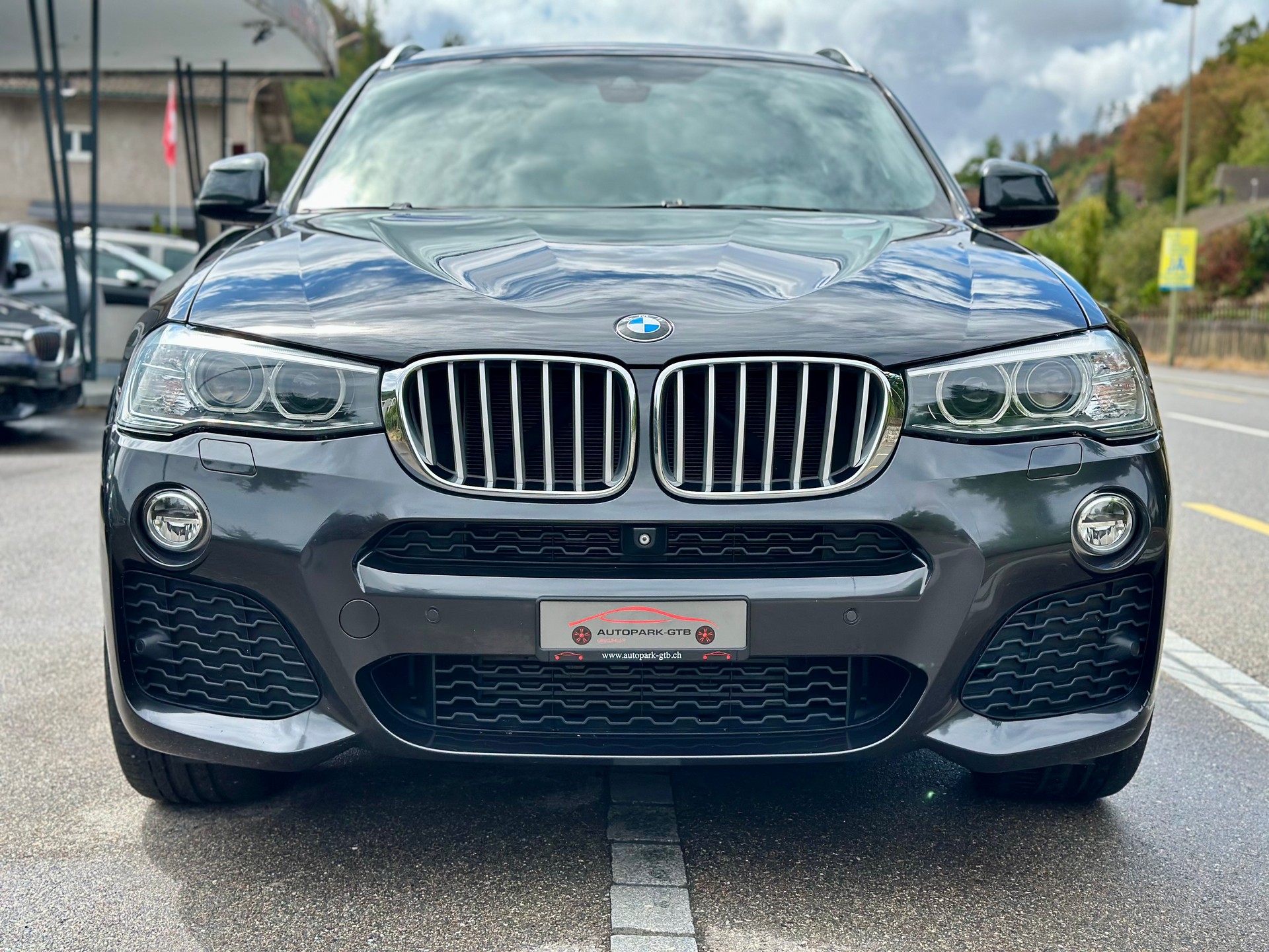 BMW X4 xDrive 28i Steptronic-image-2