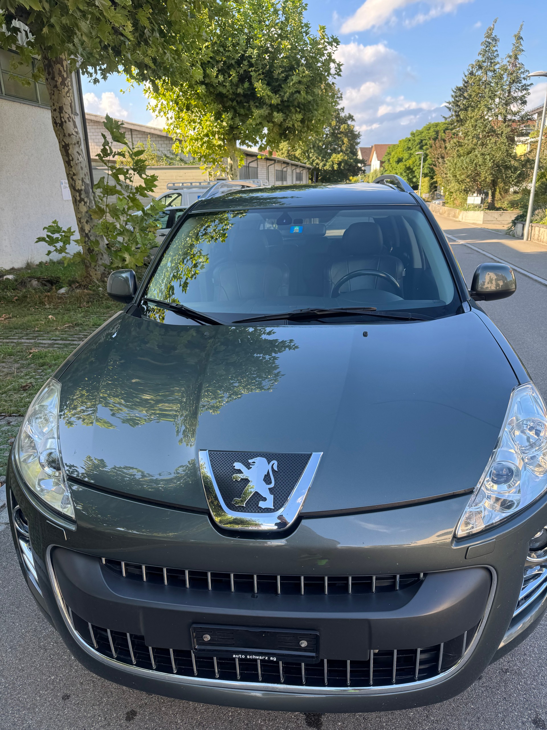 PEUGEOT 4007 2.2 HDi Platinum Edition DCS6-image-9