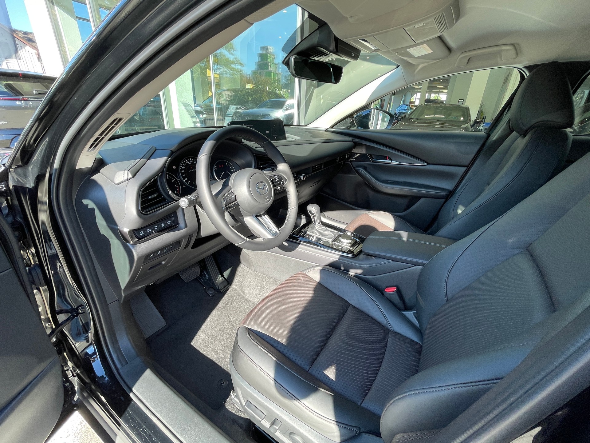 MAZDA CX-30 SKYACTIV-X 186 M Hybrid Homura Plus AWD AT-image-6