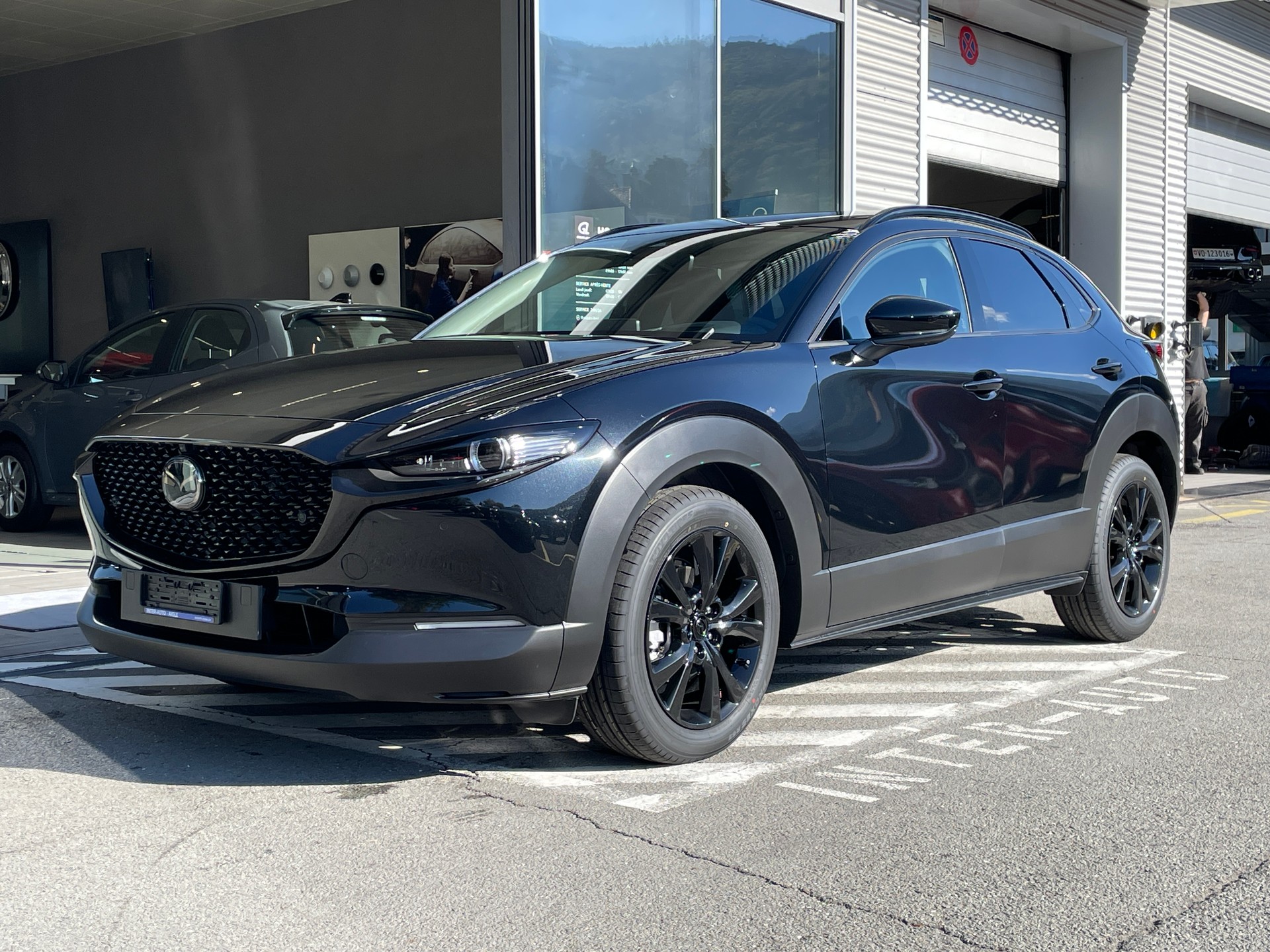 MAZDA CX-30 SKYACTIV-X 186 M Hybrid Homura Plus AWD AT-image-0