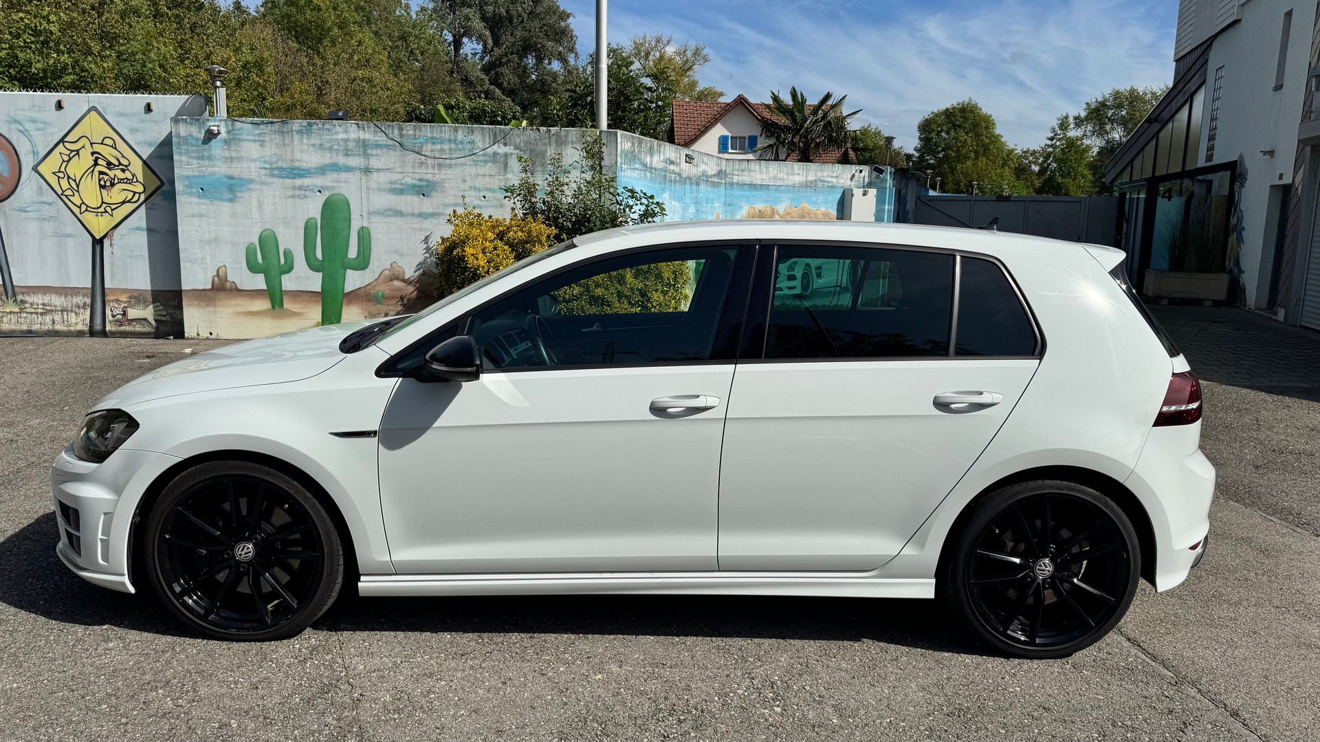 VW 2.0 TSI R360S DSG 4motion-image-2