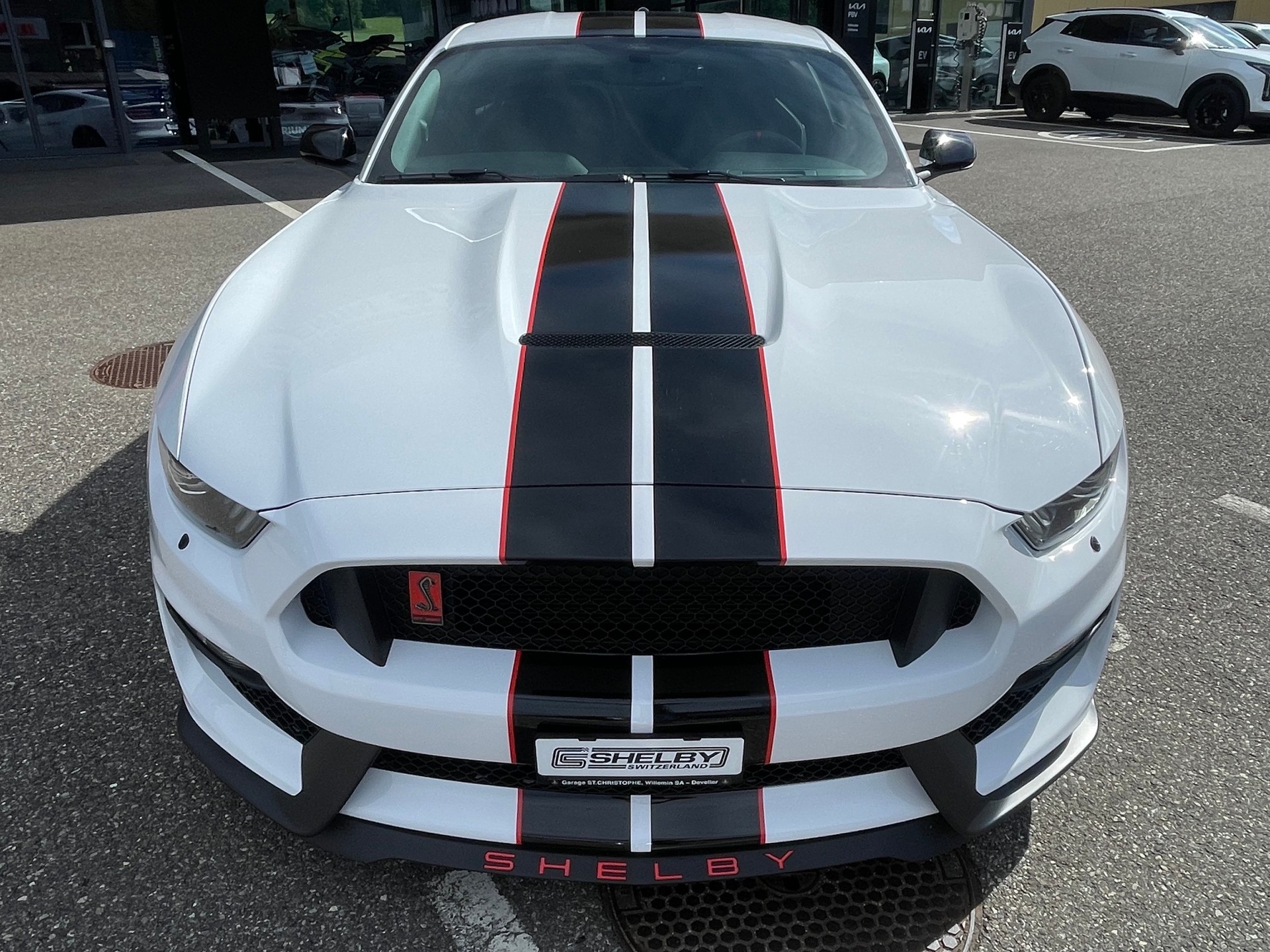 FORD Shelby GT350 Recaro-image-0