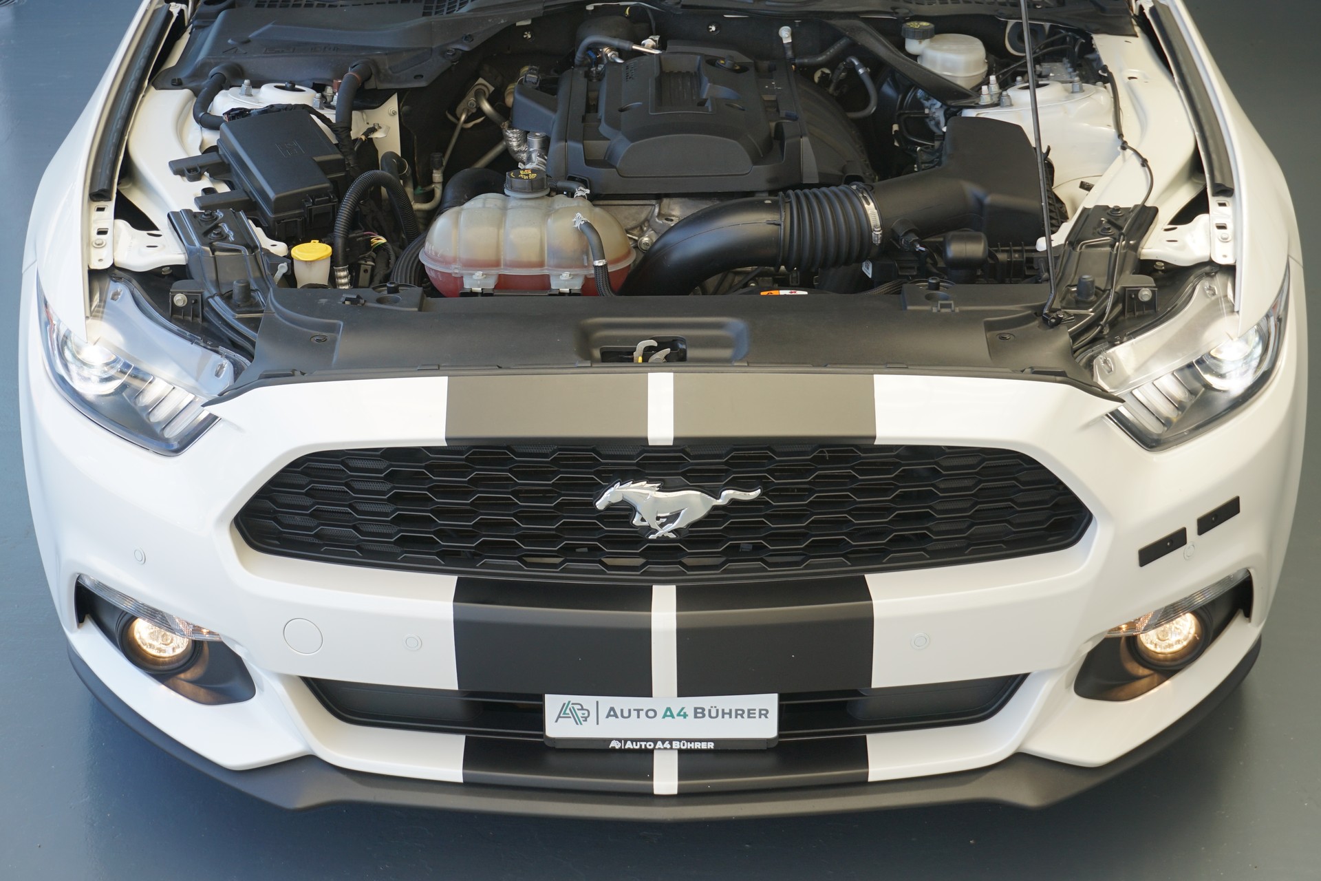 FORD Mustang Convertible 2.3 T Automat 317 PS-image-19