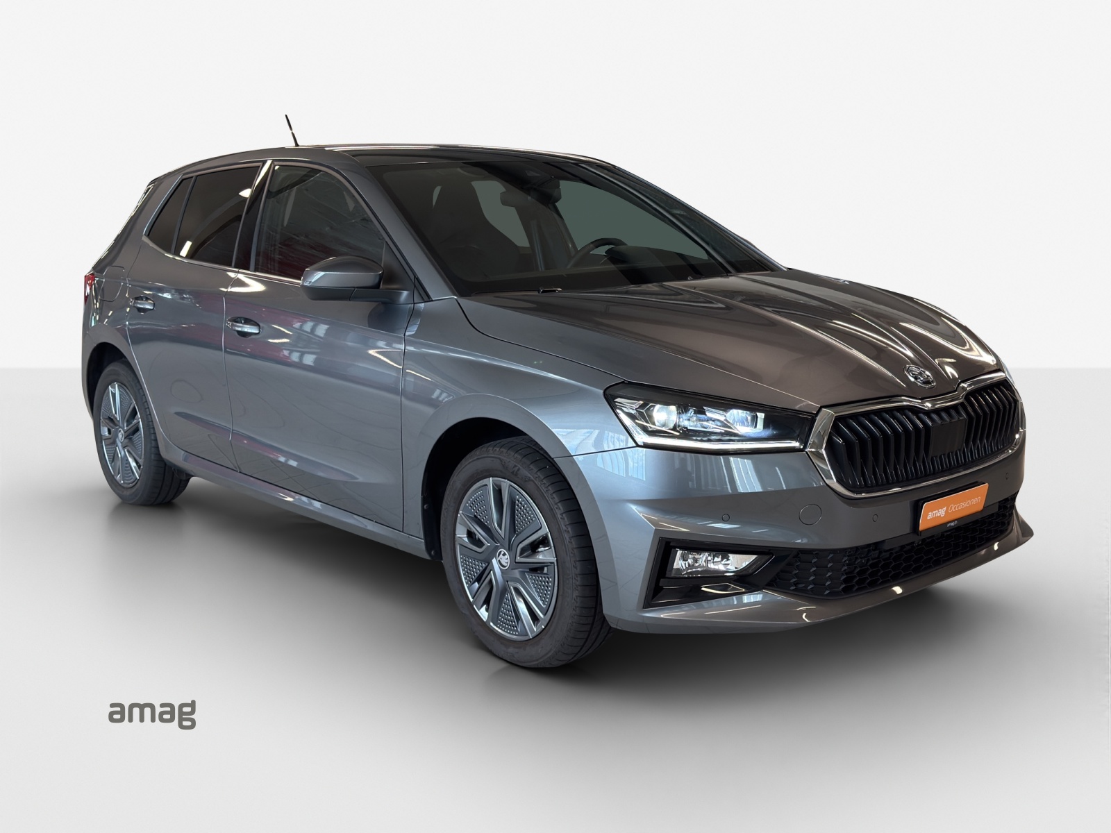 SKODA Fabia 1.0 TSI Dynamic DSG-image-5
