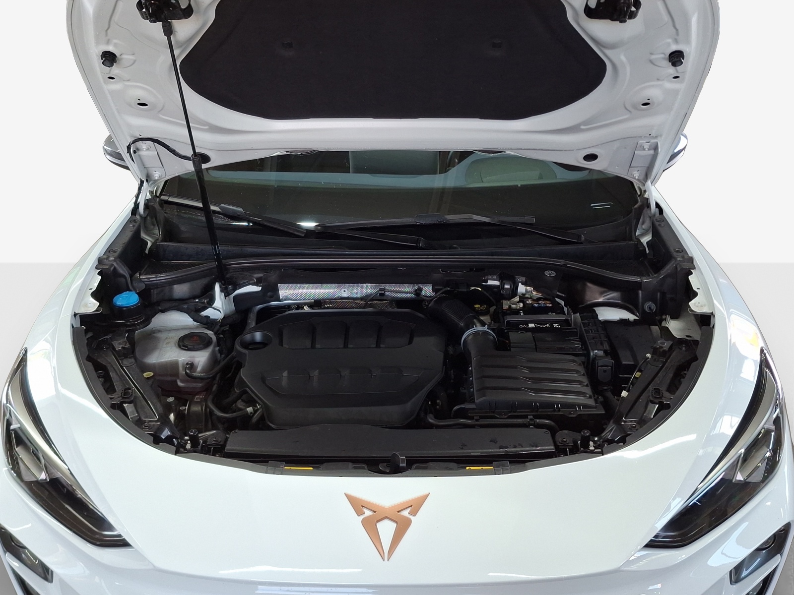 CUPRA Terramar 2.0 TSI DSG 4Drive VZ-image-15