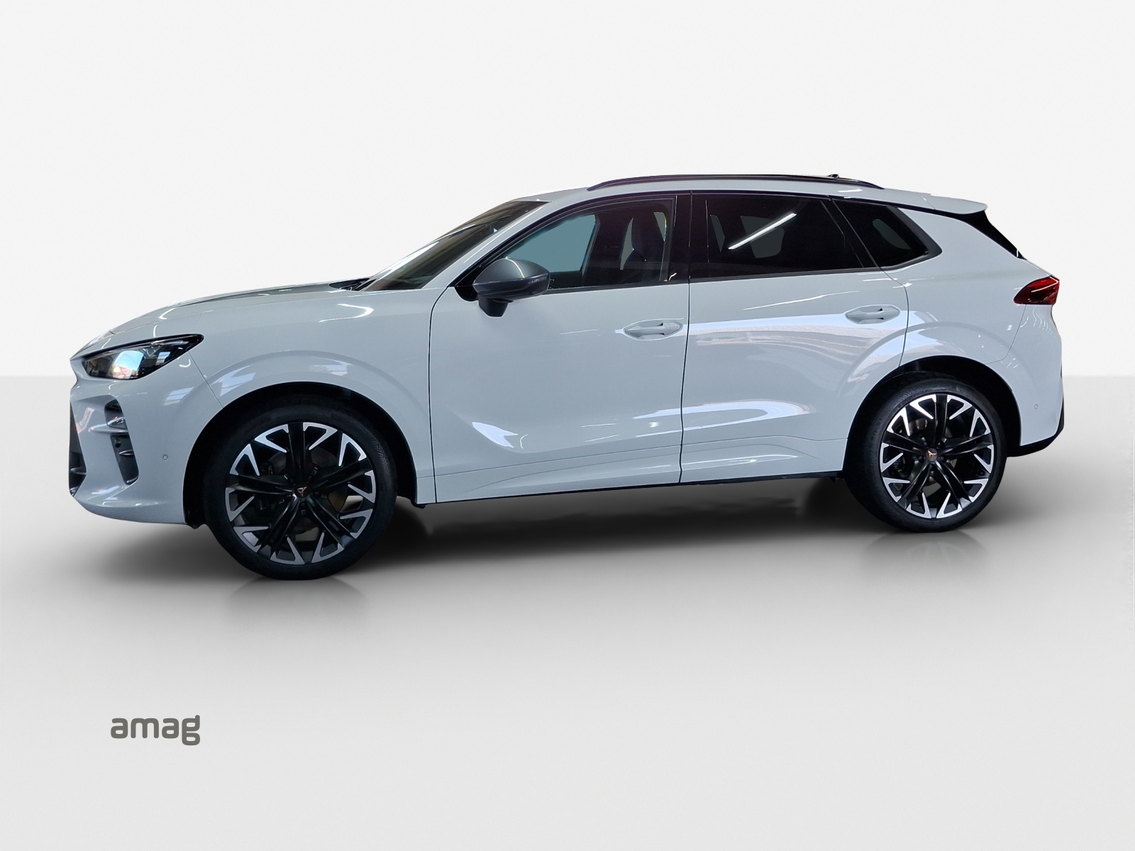 CUPRA Terramar 2.0 TSI DSG 4Drive VZ-image-1