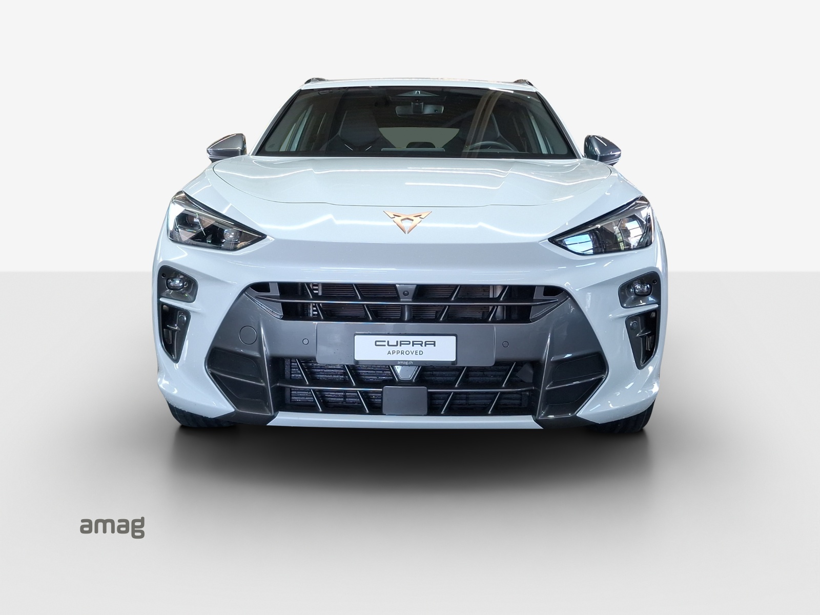 CUPRA Terramar 2.0 TSI DSG 4Drive VZ-image-6