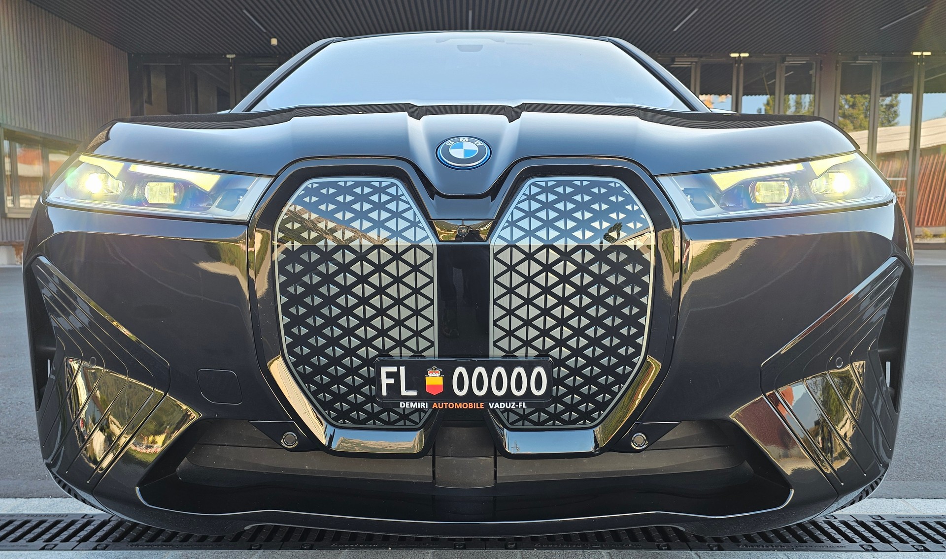 BMW iX xDrive40-image-6