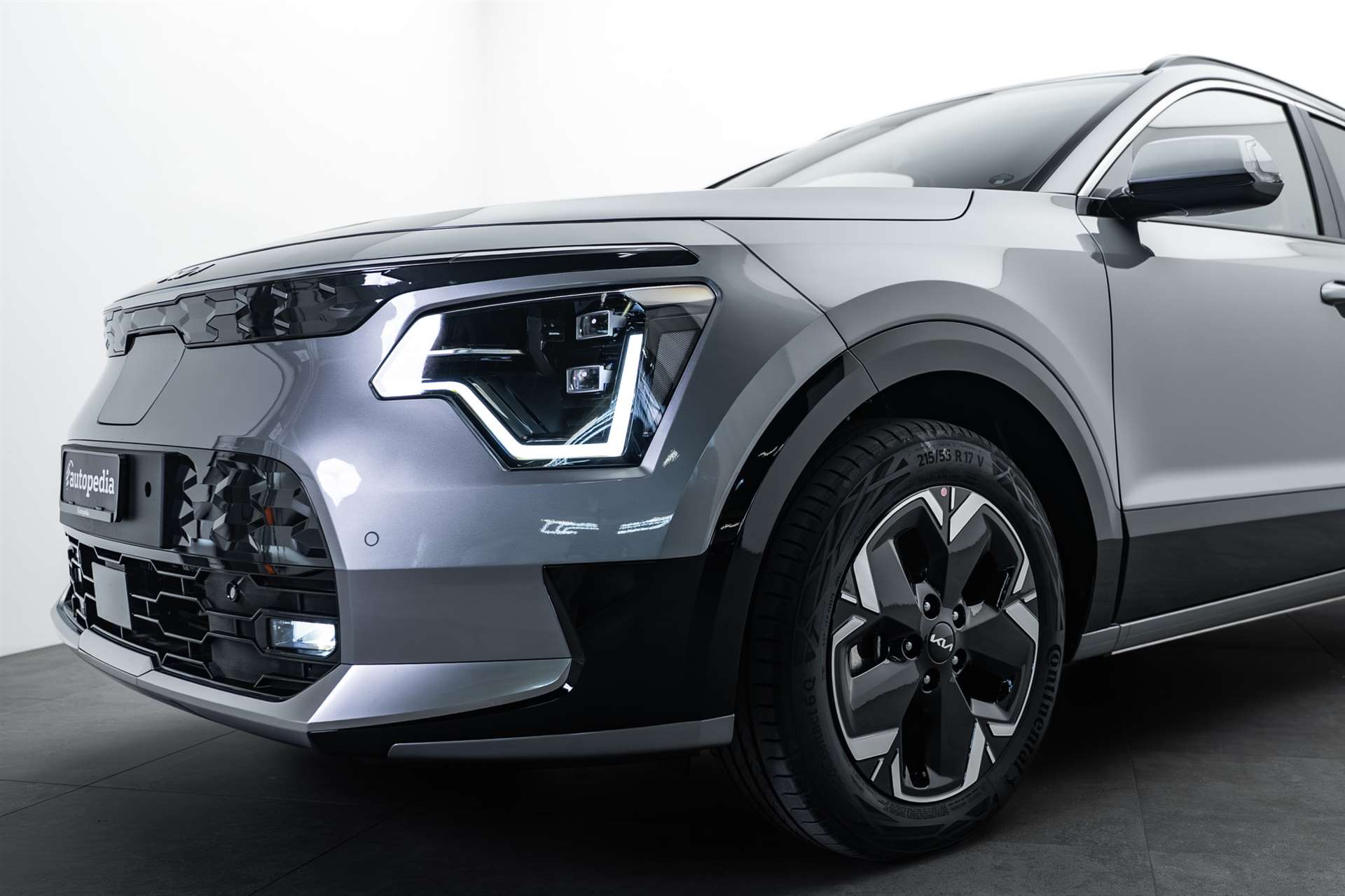 KIA Niro EV 64,8 kWh Light Advanced 204PS Automat-image-1