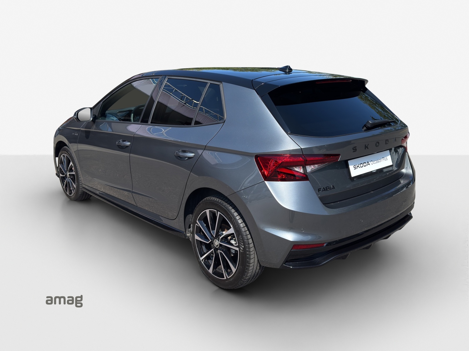 SKODA Fabia 1.5 TSI Monte Carlo DSG-image-2