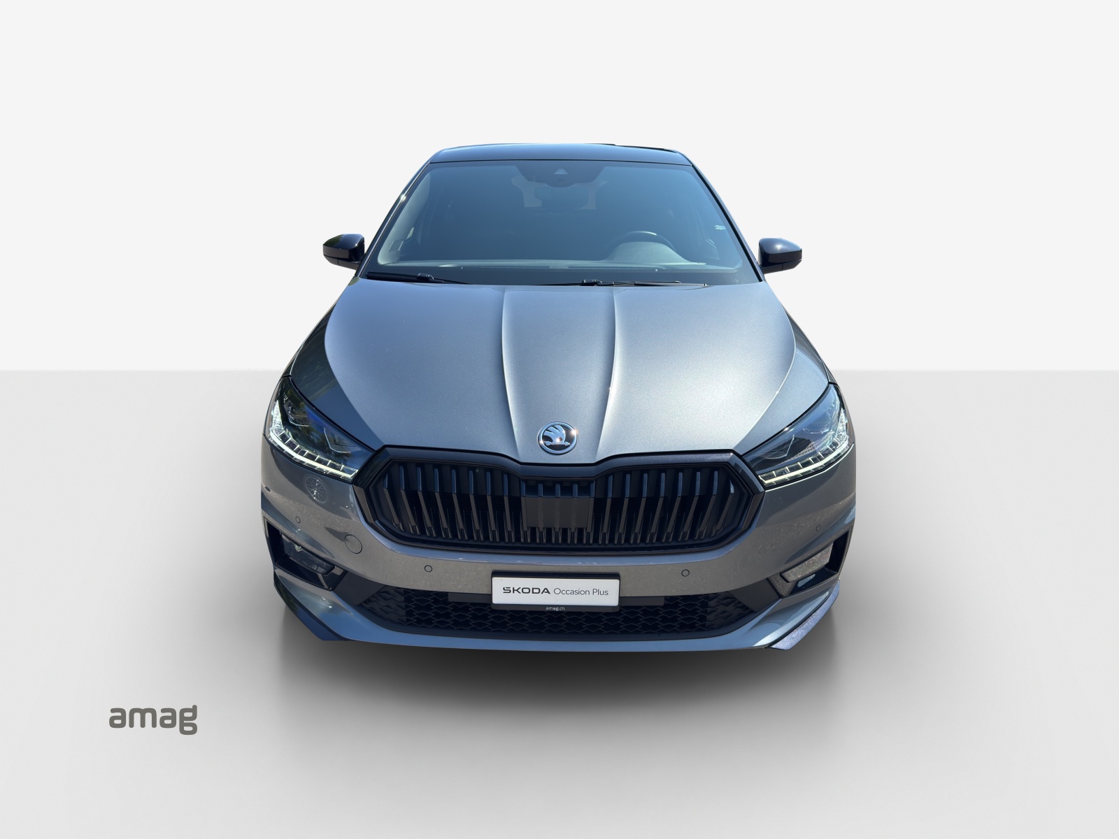 SKODA Fabia 1.5 TSI Monte Carlo DSG-image-6