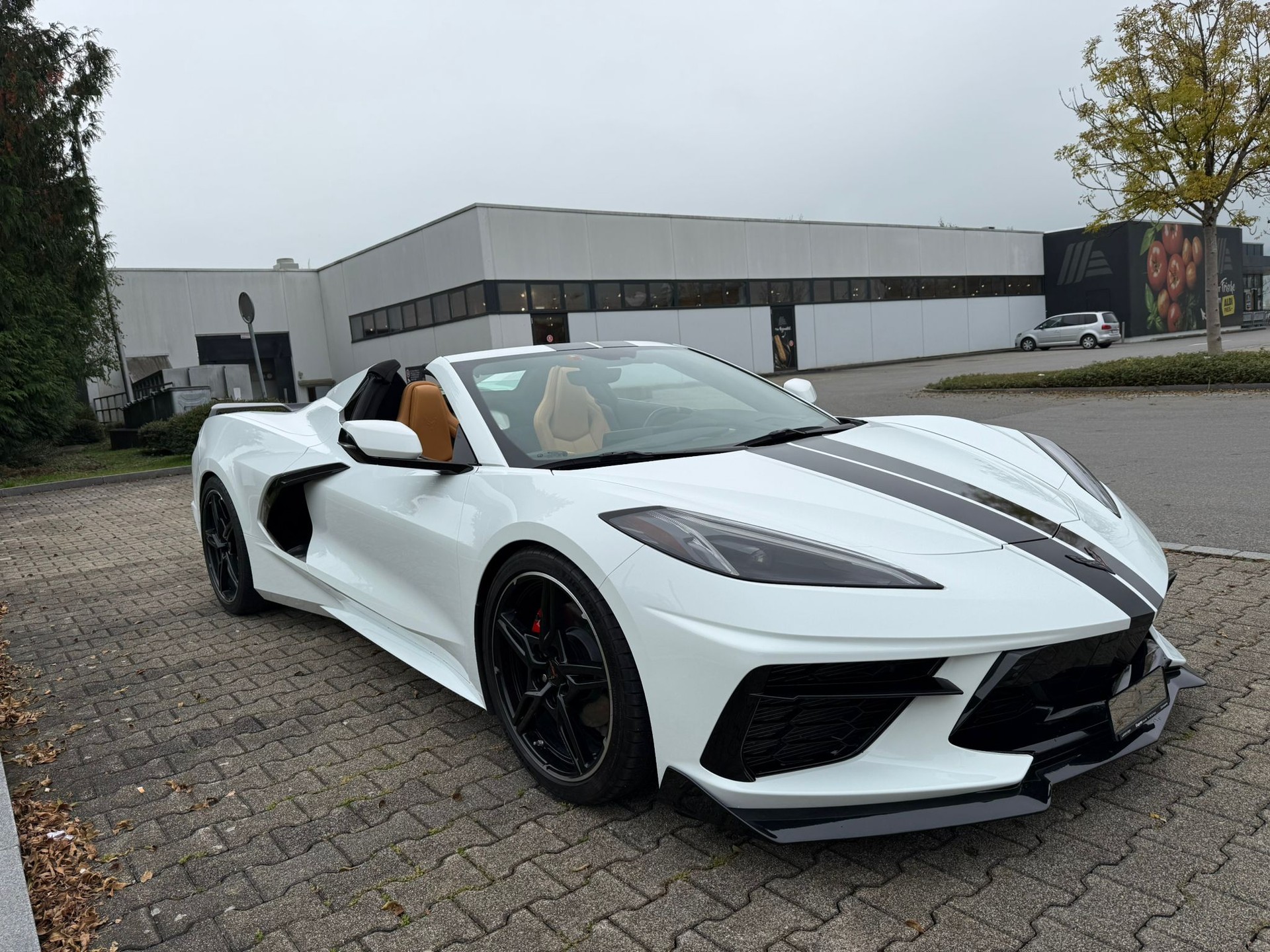 CHEVROLET Corvette C8-image-22