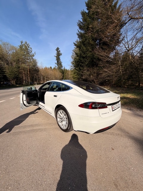 TESLA Model S 100 D-image-2