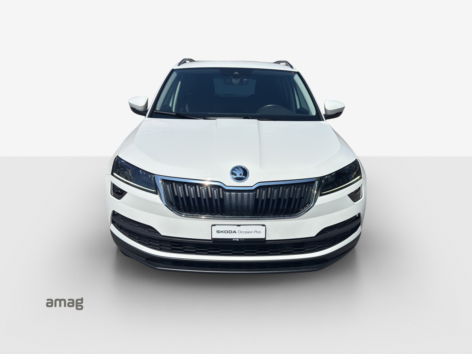 SKODA Karoq 1.5 TSI ACT Ambition DSG-image-6