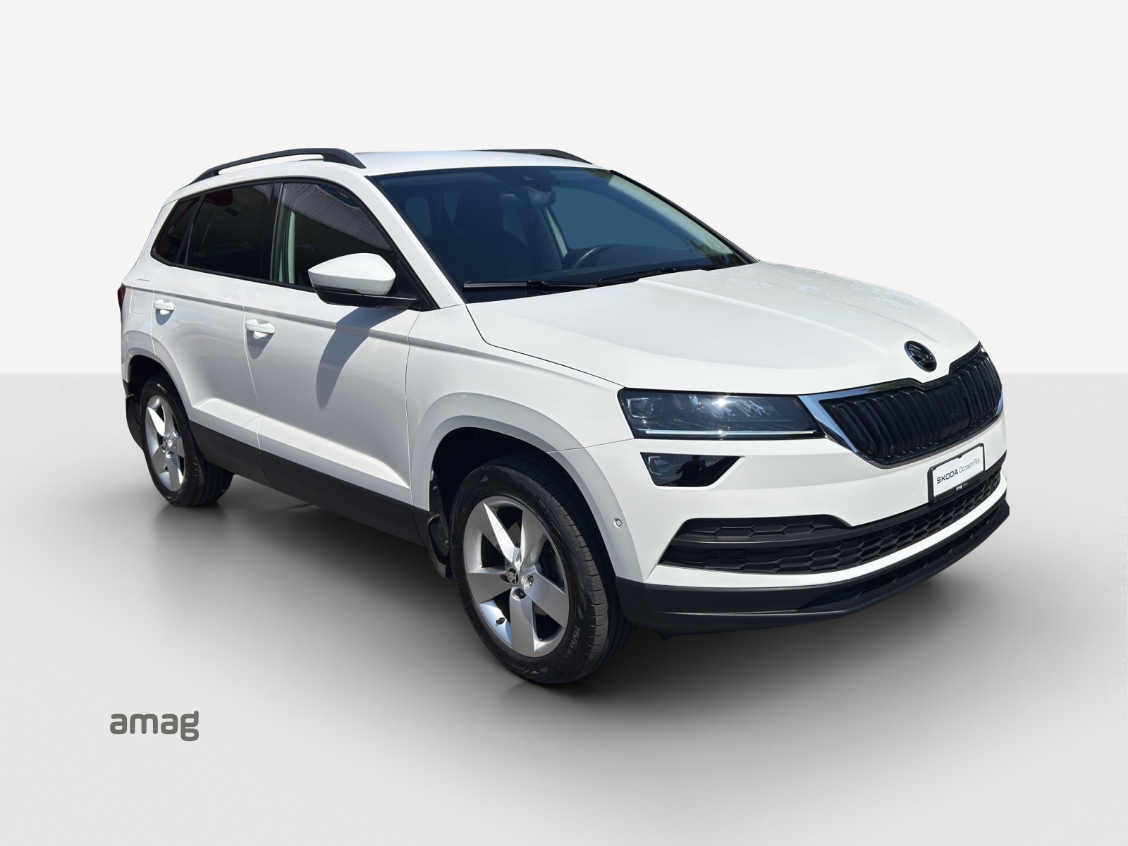 SKODA Karoq 1.5 TSI ACT Ambition DSG-image-5