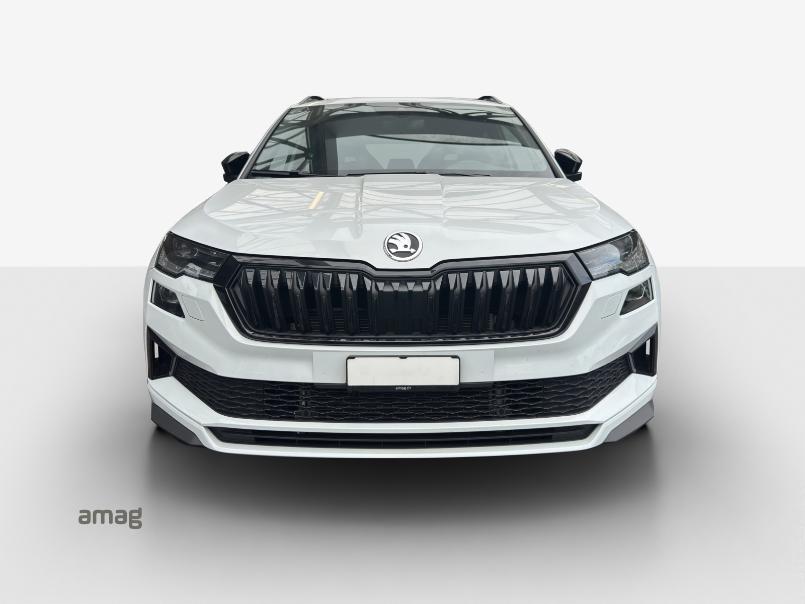 SKODA Karoq 2.0 TDI CR Sport Line 4x4 DSG-image-6