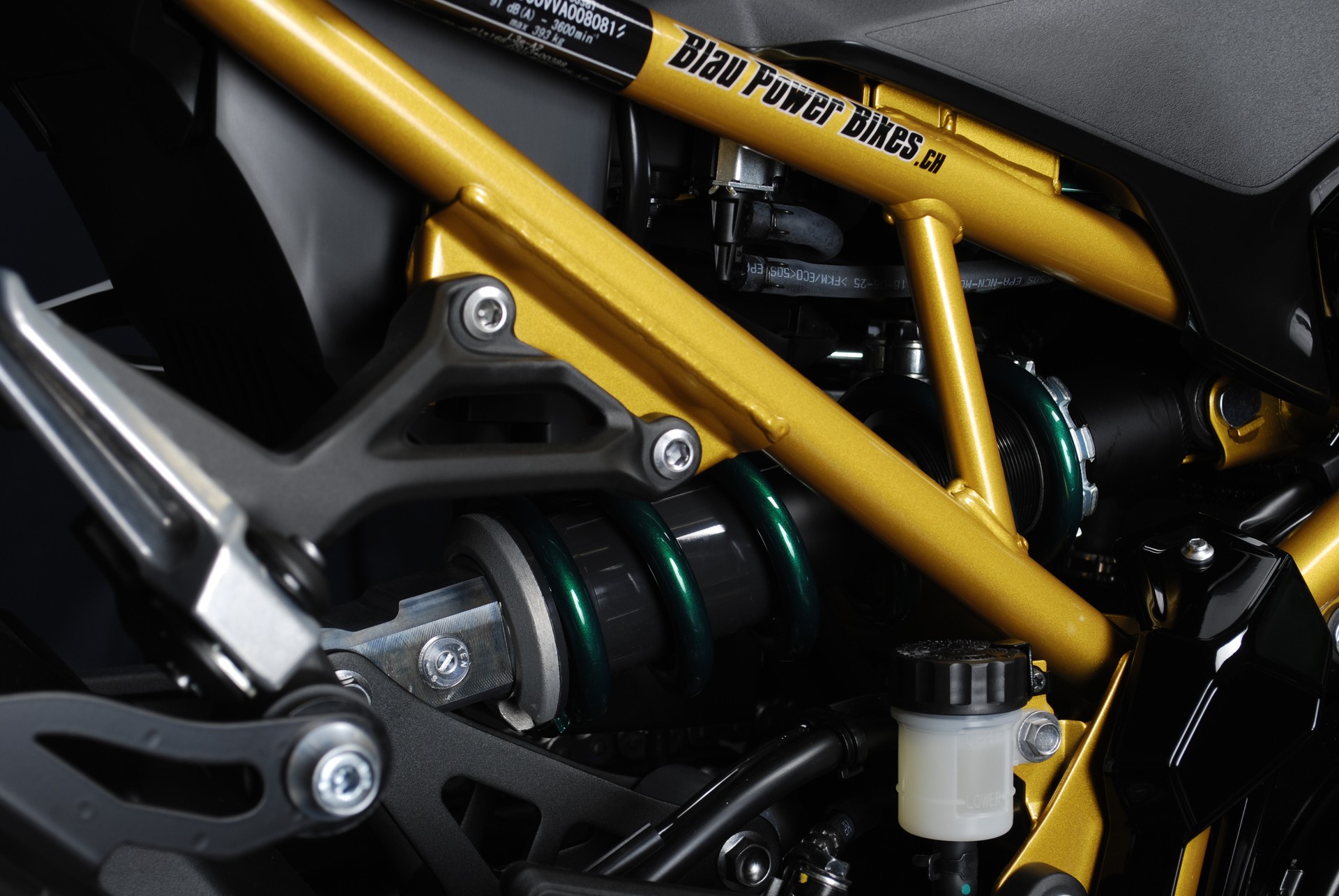 KAWASAKI Z 900 (91 kW) MY26 - Sonderumbau-showroom-element-2