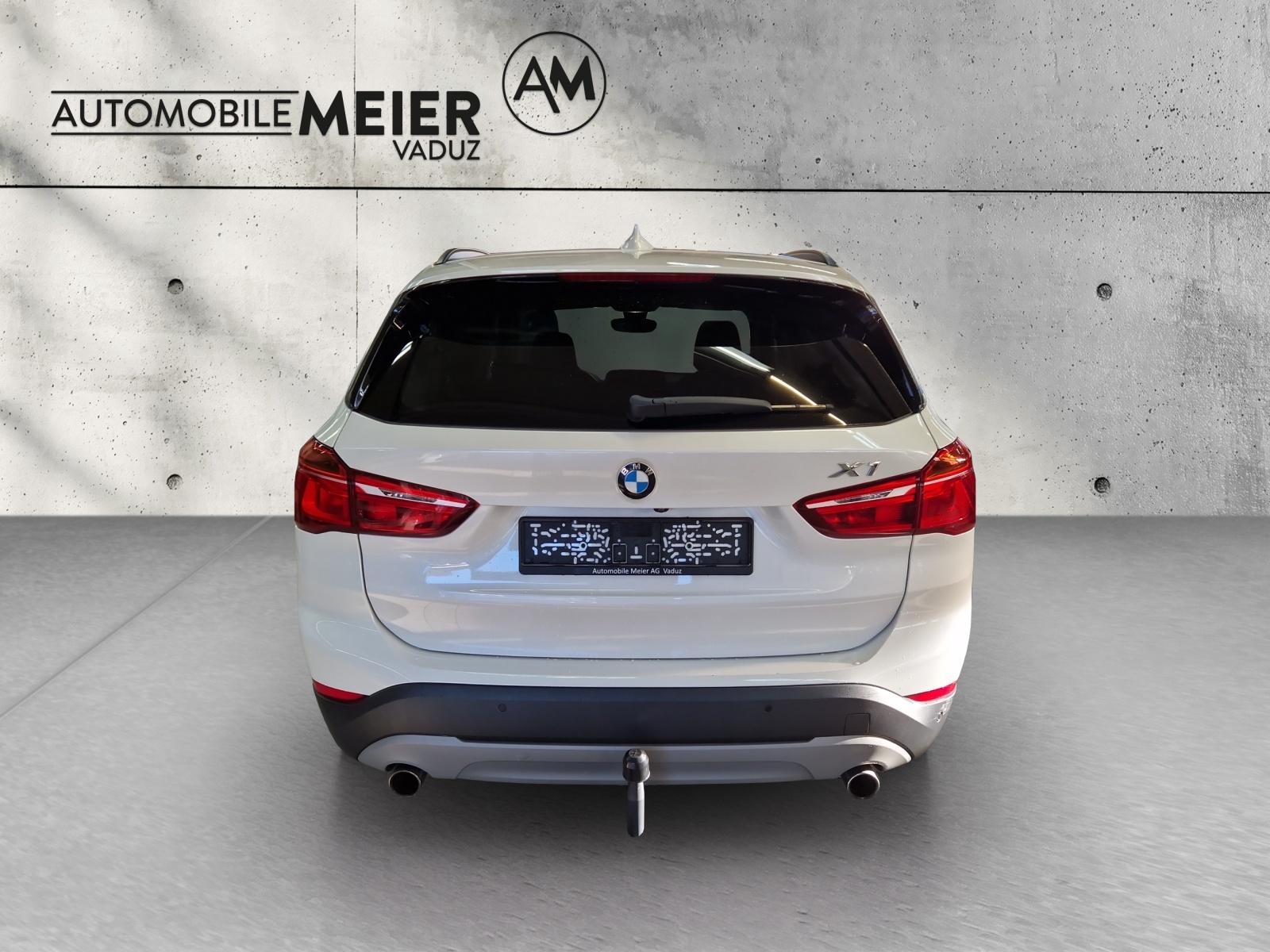 BMW X1 F48 20d xDrive-image-6