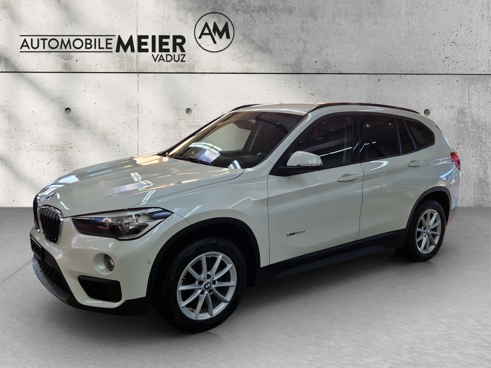 BMW X1 F48 20d xDrive-image-0