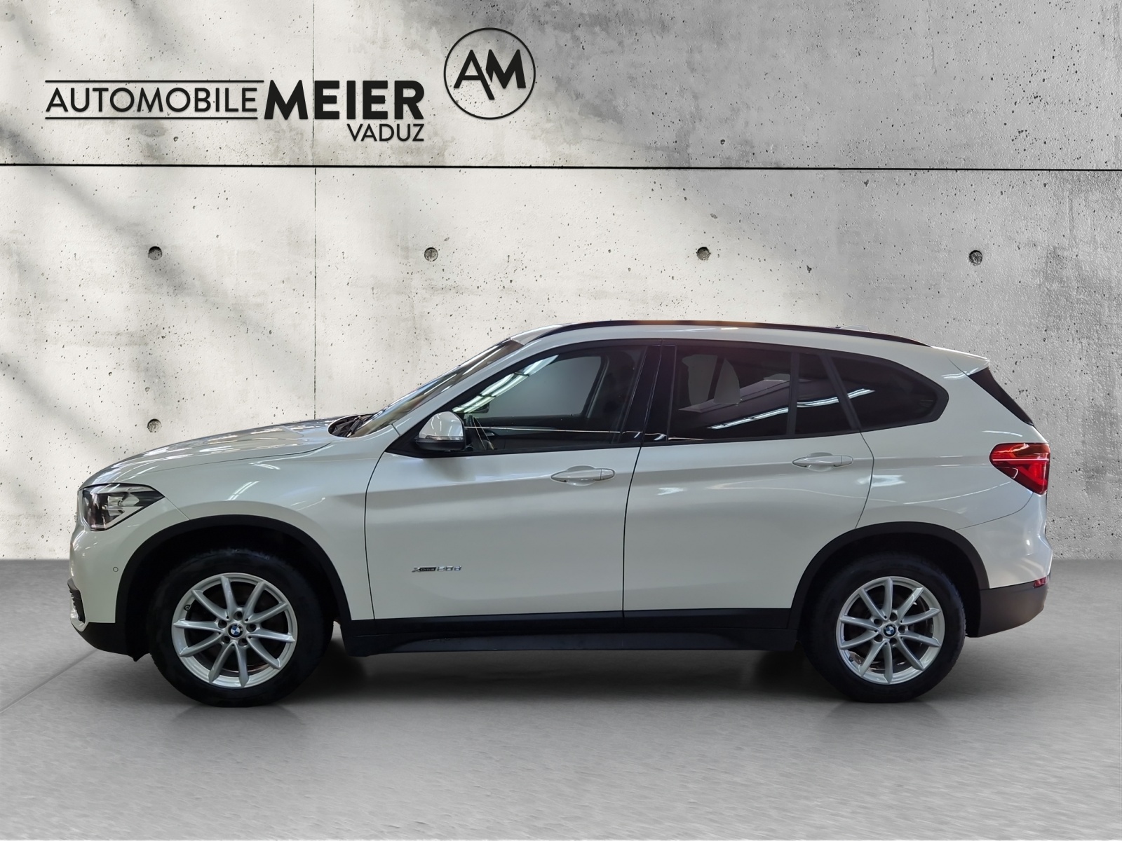 BMW X1 F48 20d xDrive-image-5