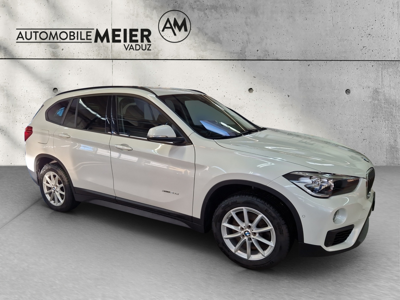 BMW X1 F48 20d xDrive-image-12