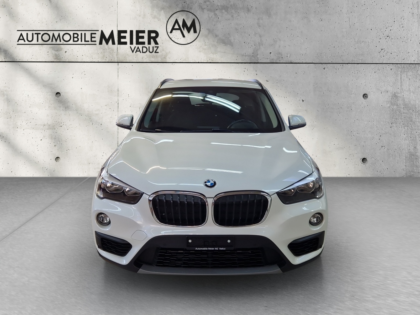 BMW X1 F48 20d xDrive-image-2