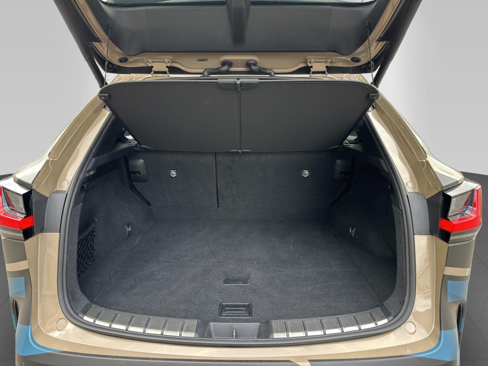 LEXUS NX 450h+ Overtrail-image-12