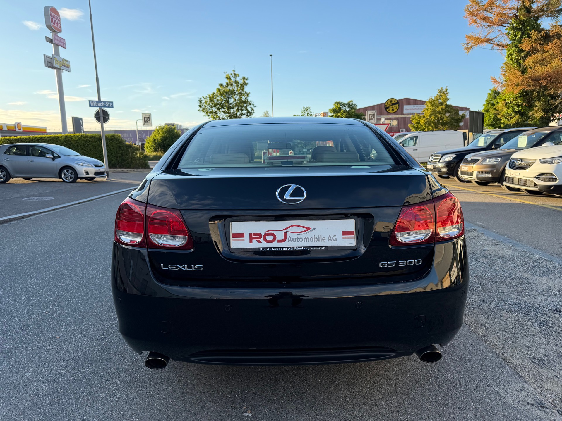 LEXUS GS 300 Edition Automatic-image-5