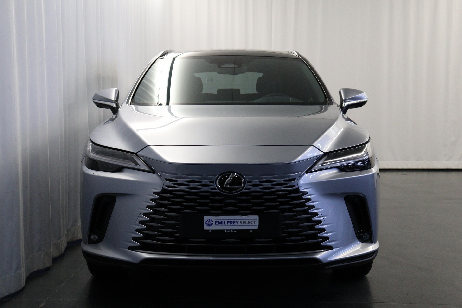 LEXUS RX 450h+ Excellence-image-10